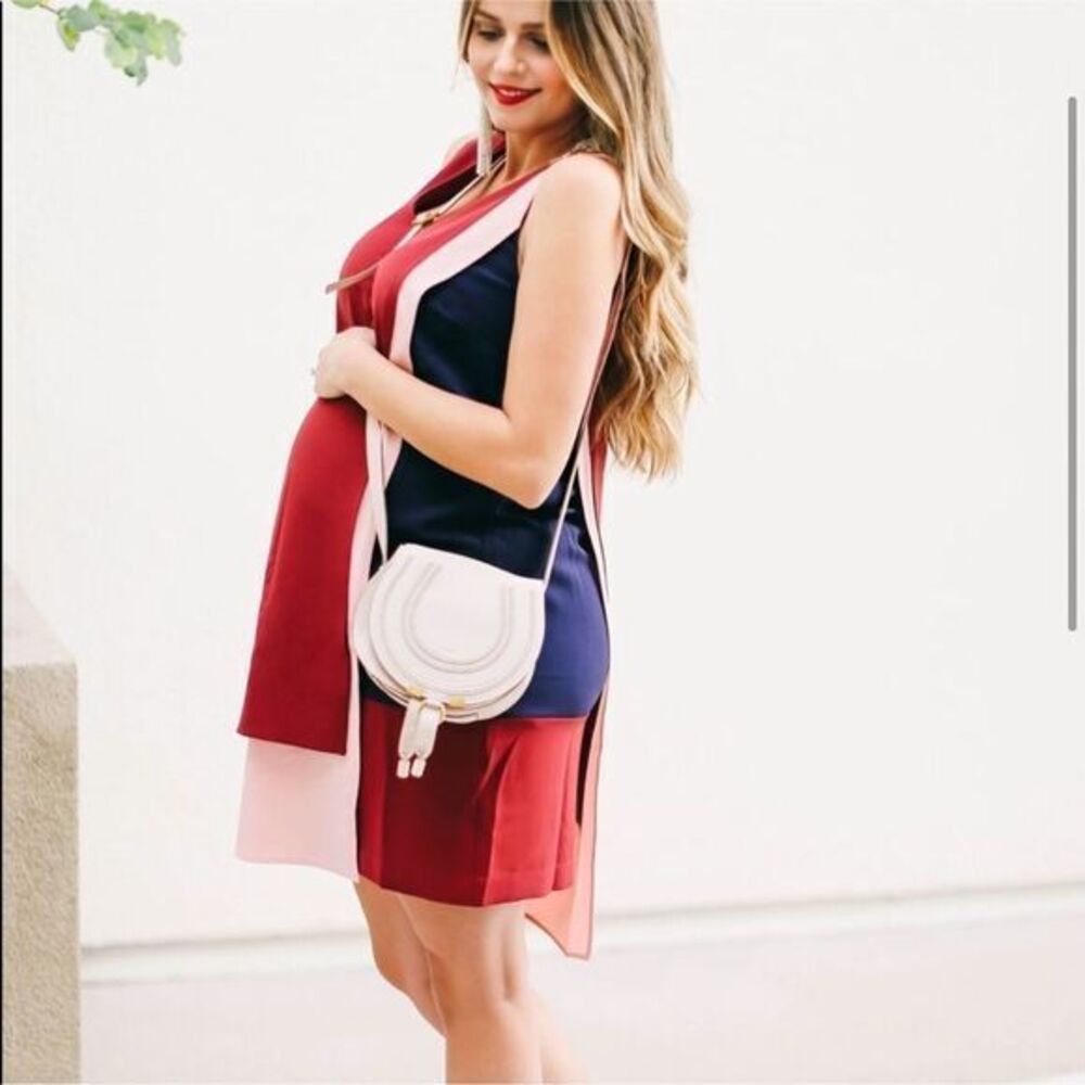 NWT Rosie Pope Edina Maternity Shift Dress